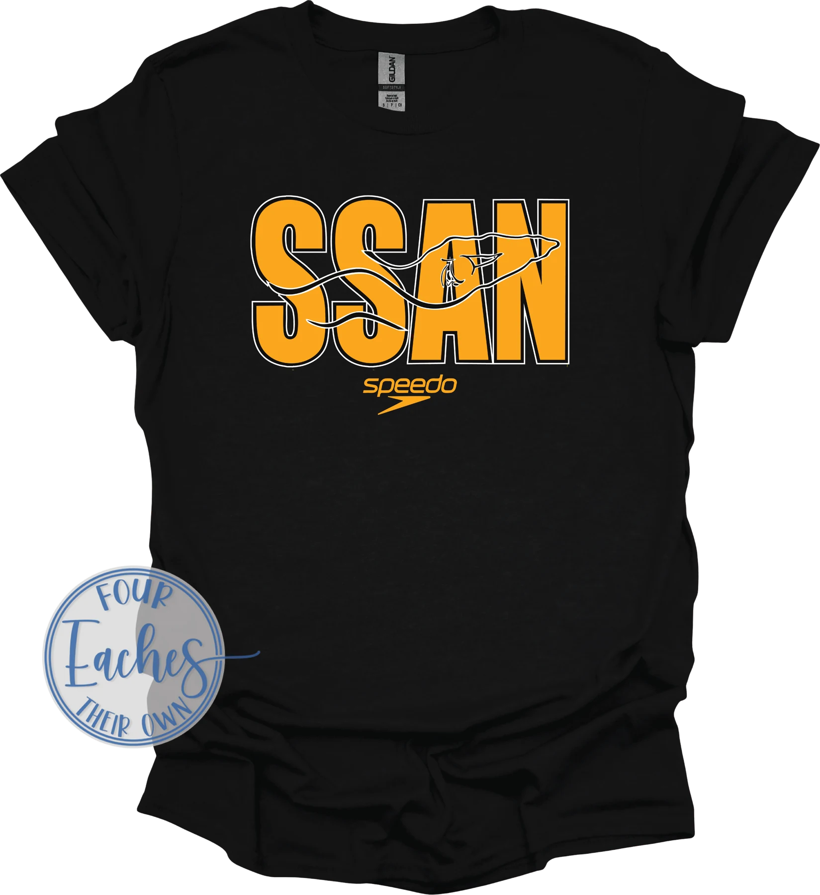 SSAN BIG Logo