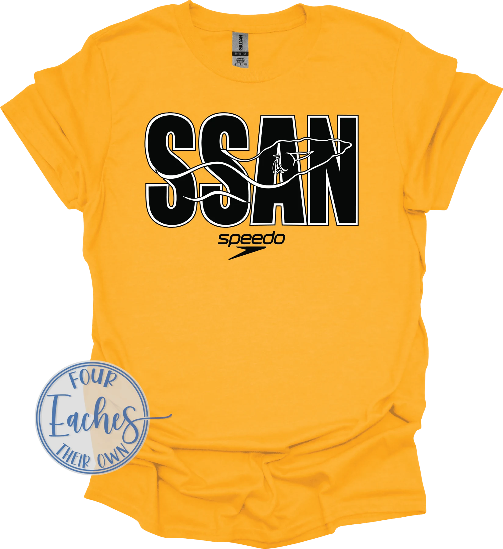 SSAN BIG Logo